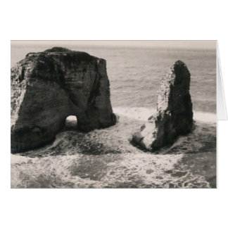 Pigeon Sten Hälsningskort