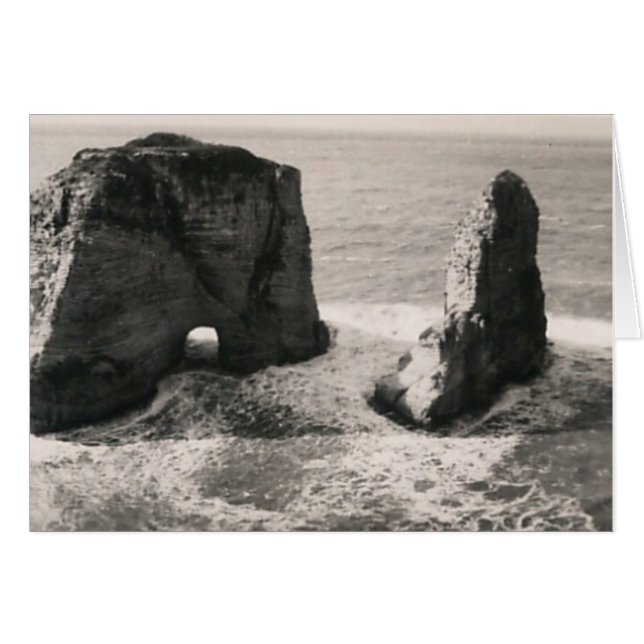 Pigeon Sten Hälsningskort (Framsidan Horizontal)