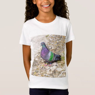 Pigeon. Tee