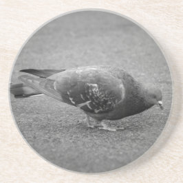 Pigeon Underlägg