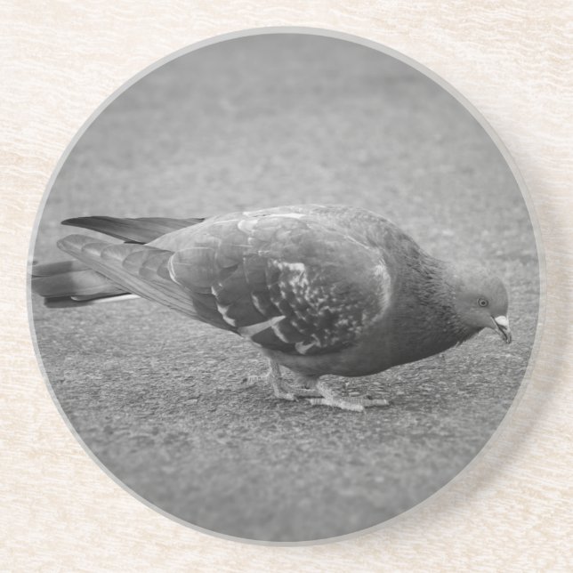 Pigeon Underlägg Sandsten (Framsidan)