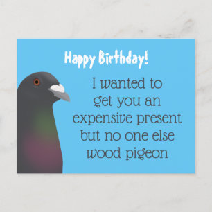 Pigeon Vykort