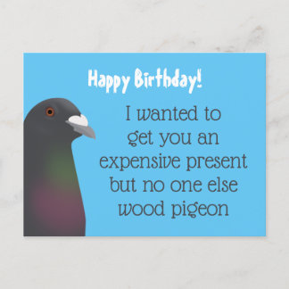 Pigeon Vykort