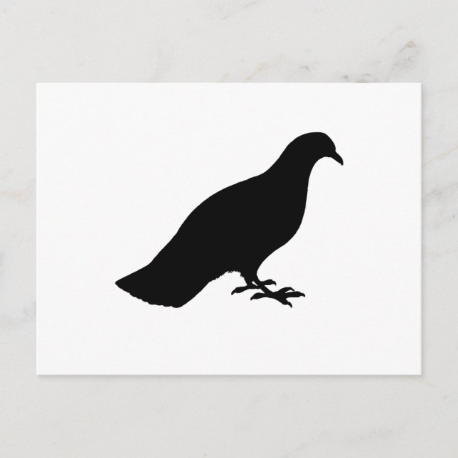 Pigeon Vykort (Framsida)
