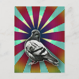 Pigeon-vykort för Arg Vykort