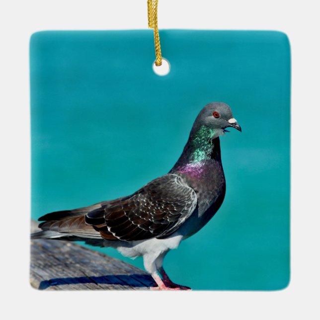 Pigeon With A View Julgransprydnad Keramik (Framsida)
