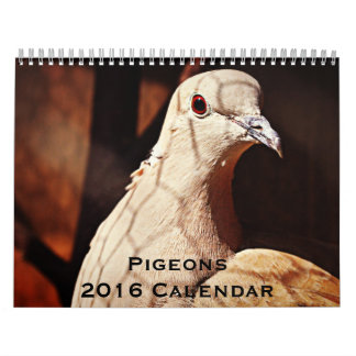 Pigeons 2016-kalender kalender