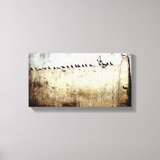 Pigeons Canvastryck (Framsida)