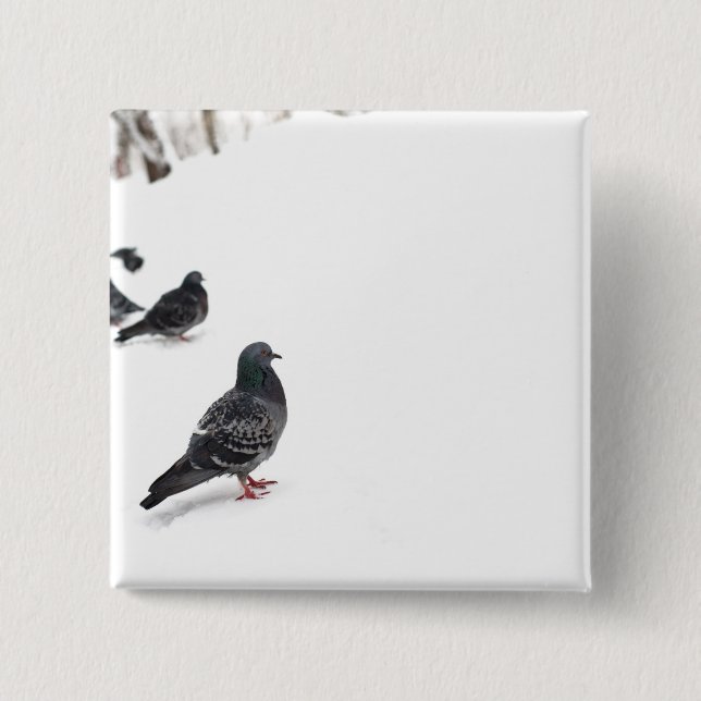 Pigeons Knapp (Framsida)