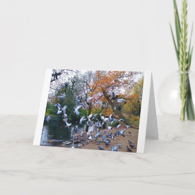 Pigeons, Lloyd Park, Walthamstow, London Kort (Framsida)