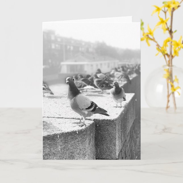 Pigeons på en bro kort (Gul blomma)