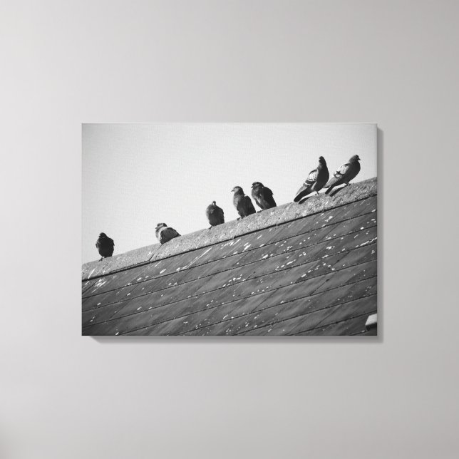 Pigeons på Tak Canvastryck (Framsida)