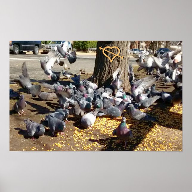 Pigeons som samlas runt Träd med hjärta Poster (Framsidan)