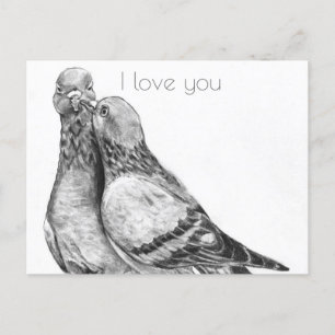 Pigeons vykort
