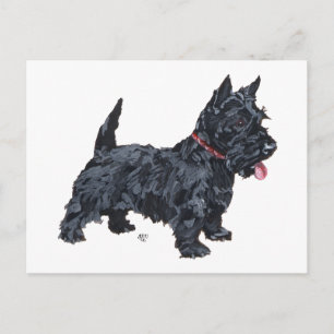 Pigghund Scottie Vykort