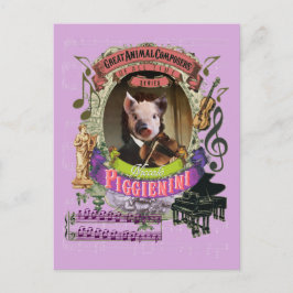 Piggienini Funny Gris Animal Composer Paganini Vykort