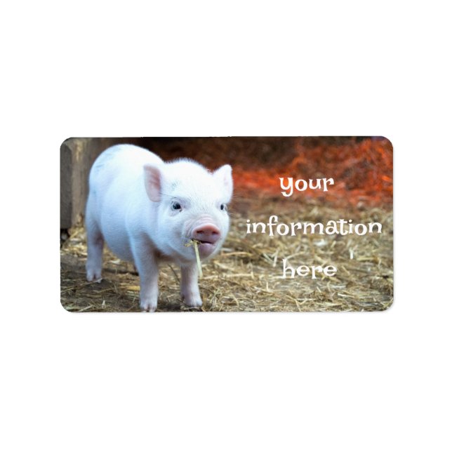 Piggin' Out Farm Life Return Address Labels Adressetikett (Framsidan)