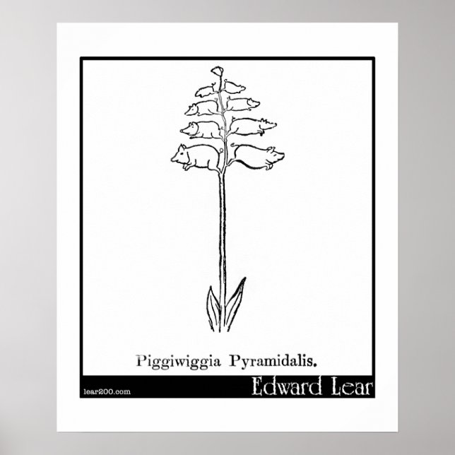 Piggiwiggia Pyramidalis. Poster (Framsidan)