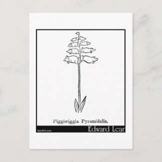 Piggiwiggia Pyramidalis. Vykort