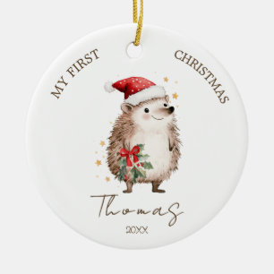 Piggsvin Babys 1:a julen Foto Ornament