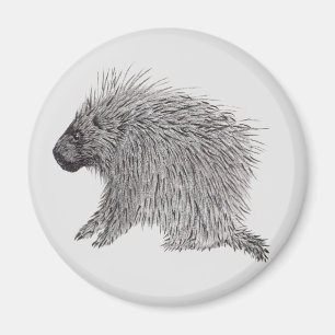 Piggsvin Magnet