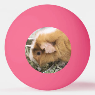 Piggy Golf Hat Clip Pingisboll