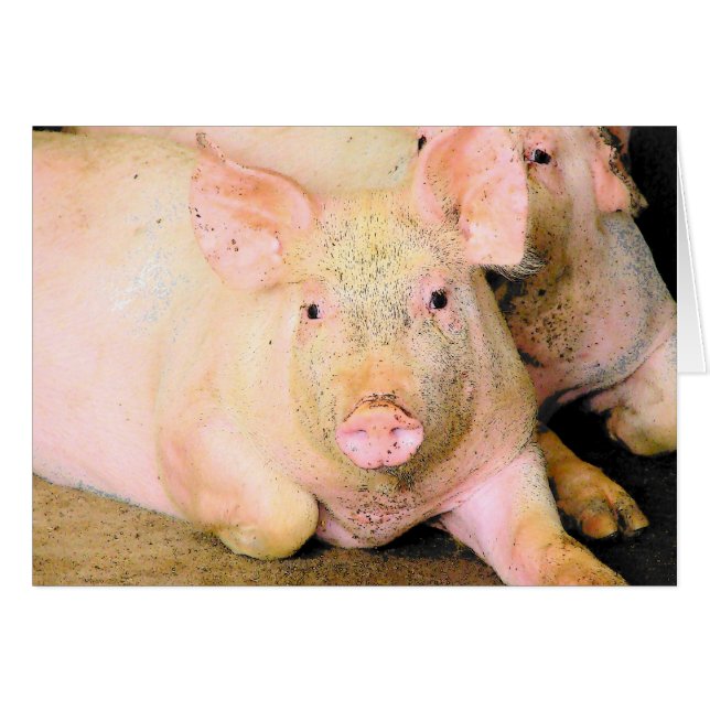 Piggy Hälsningskort (Framsidan Horizontal)