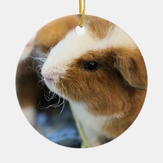 Piggy Julgransprydnad Keramik (Framsidan)