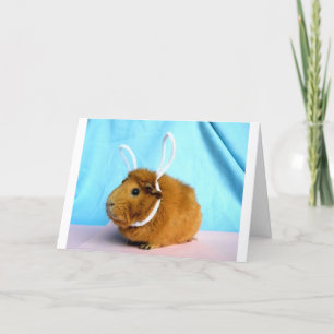 Piggy kort för påsk
