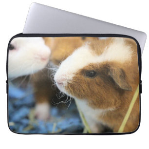 Piggy Laptop Fodral