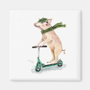 Piggy på en scooter magnet