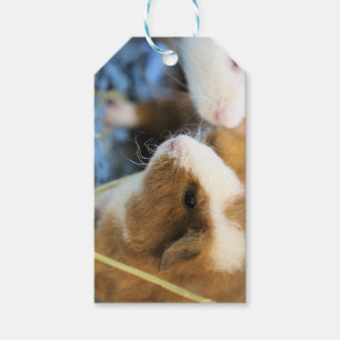 Piggy Presentetikett