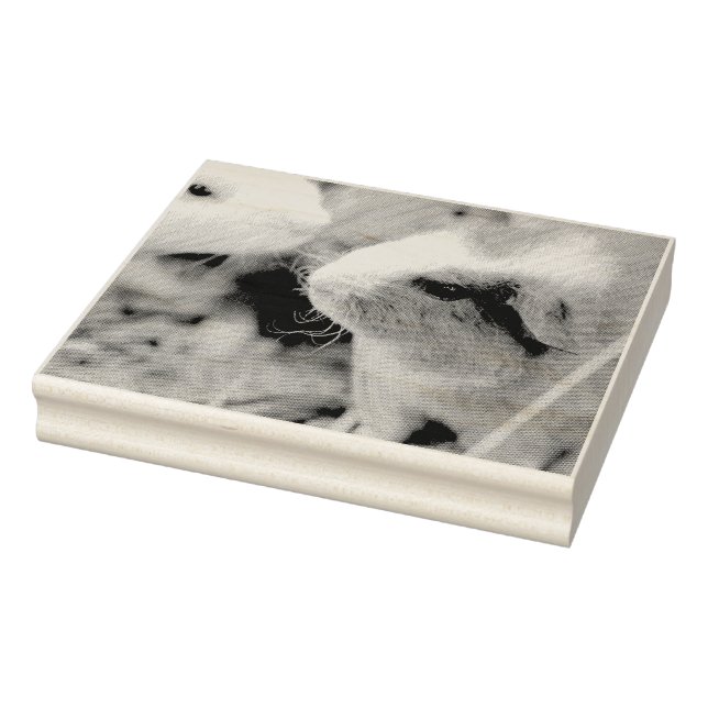 Piggy Stämpel (Stämpel)