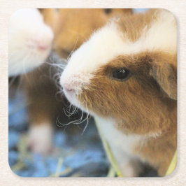 Piggy Underlägg Papper Kvadrat