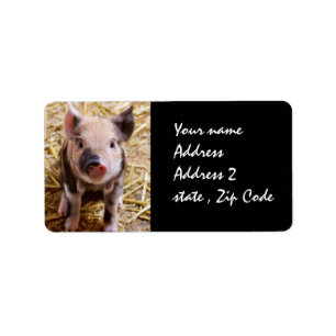 Piglet Adressetikett