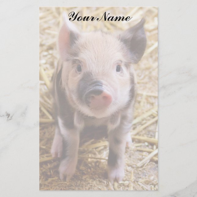 Piglet Brevpapper (Framsida)