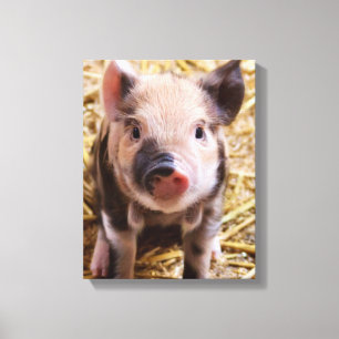 Piglet Canvastryck