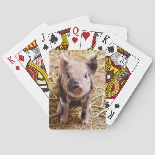 Piglet Casinokort