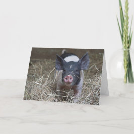 Piglet i sugrör kort