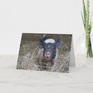 Piglet i sugrör kort