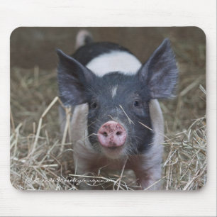 Piglet i sugrör musmatta