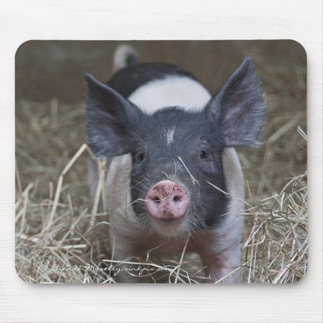 Piglet i sugrör musmatta (Framsidan)