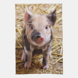 Piglet Kökshandduk