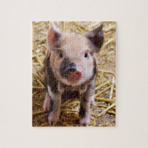 Piglet Pussel