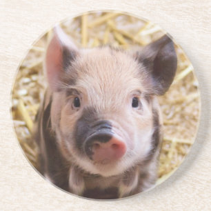 Piglet Underlägg Sandsten