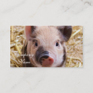 Piglet Visitkort