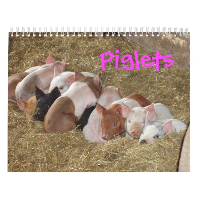 Pigletskalender Kalender (Omslag)
