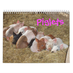 Pigletskalender Kalender