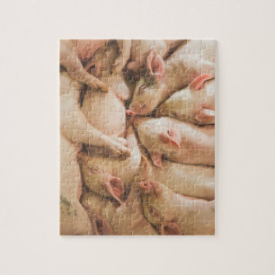Pigletspussel Pussel
