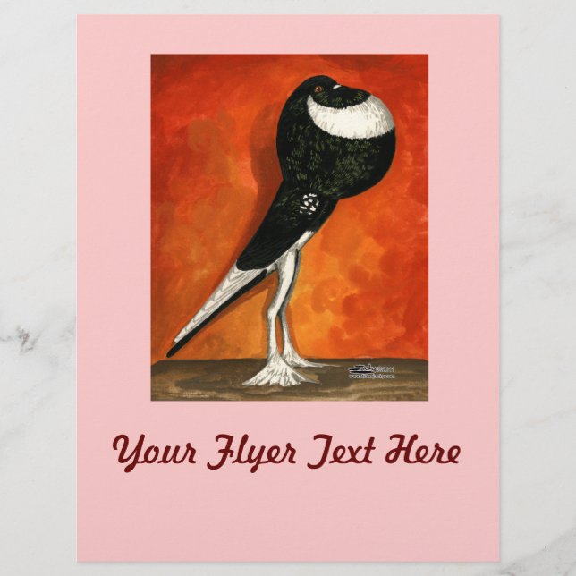 Pigmy Pouter Pigeon Black Pied Reklamblad (Framsidan)